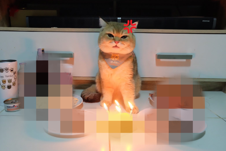 主人準備豐富生日大餐，貓皇見了卻一臉不開心！（圖／Facebook＠ Edward10516  เอ็ดเวิร์ด）