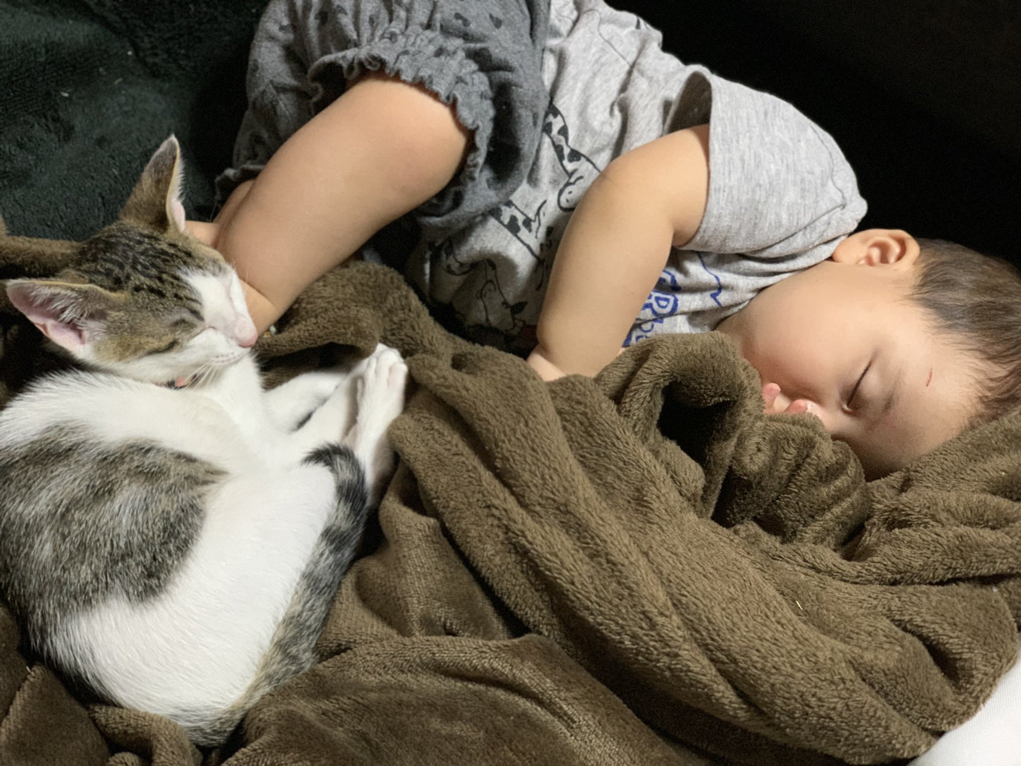 幼童吸手指時注意到貓貓睡在旁邊。（圖／Twitter＠ odyssey_3333 ）