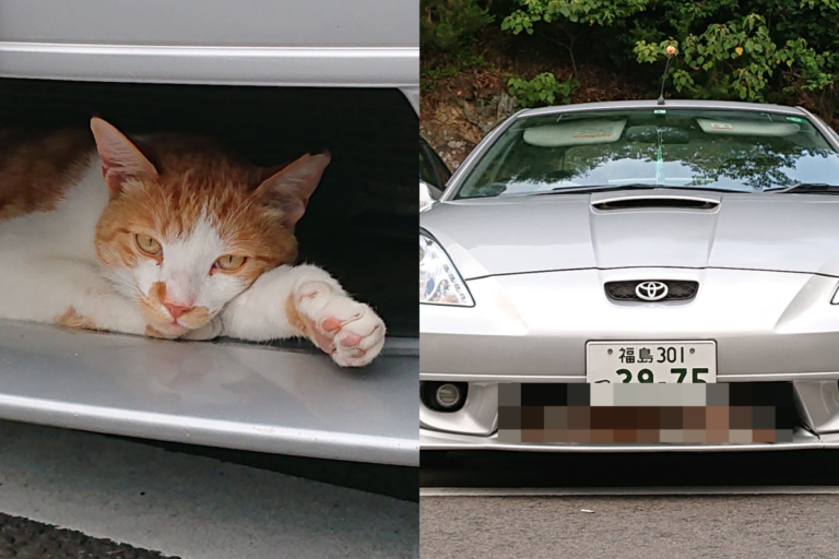 男子走到停車場想開車，發現有隻貓咪躺在汽車的「進氣壩」中休息。（圖／Twitter@ pe39pe）