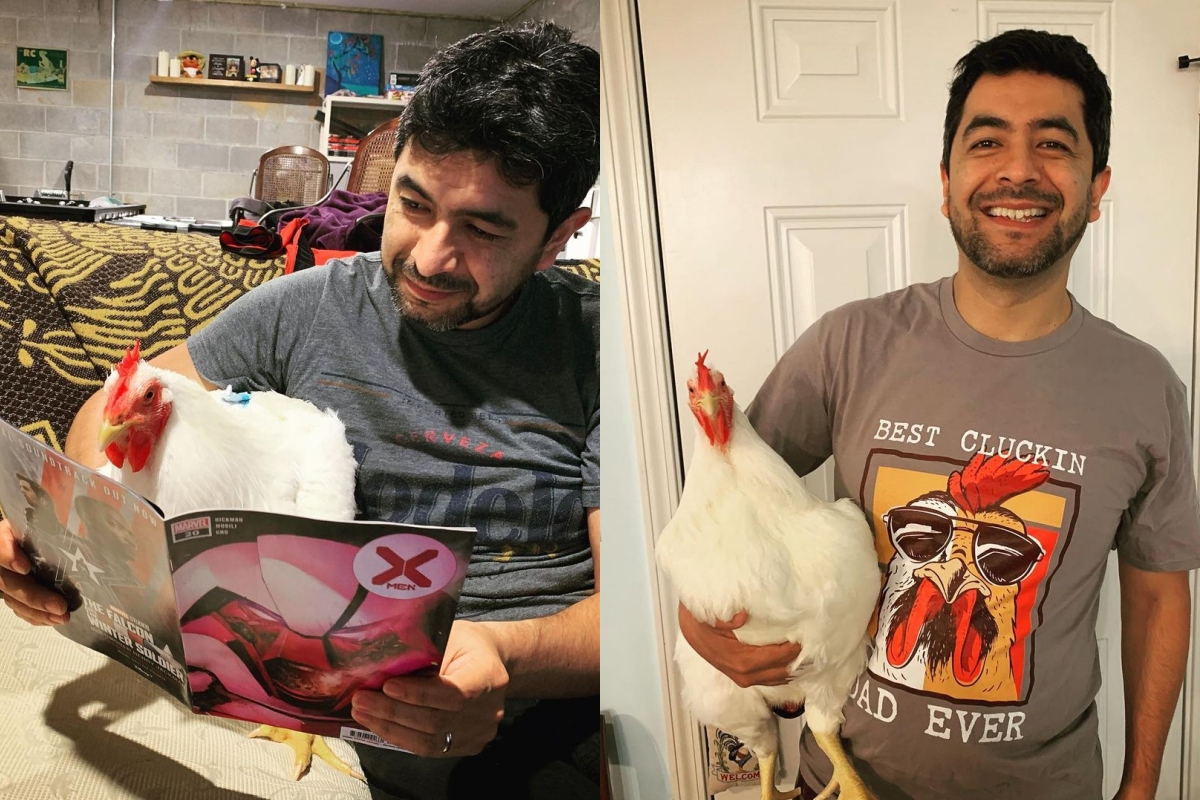 雞敞開心胸接受家人後，像狗一樣超黏人！（圖／Instagram＠ therealbootheroo） 