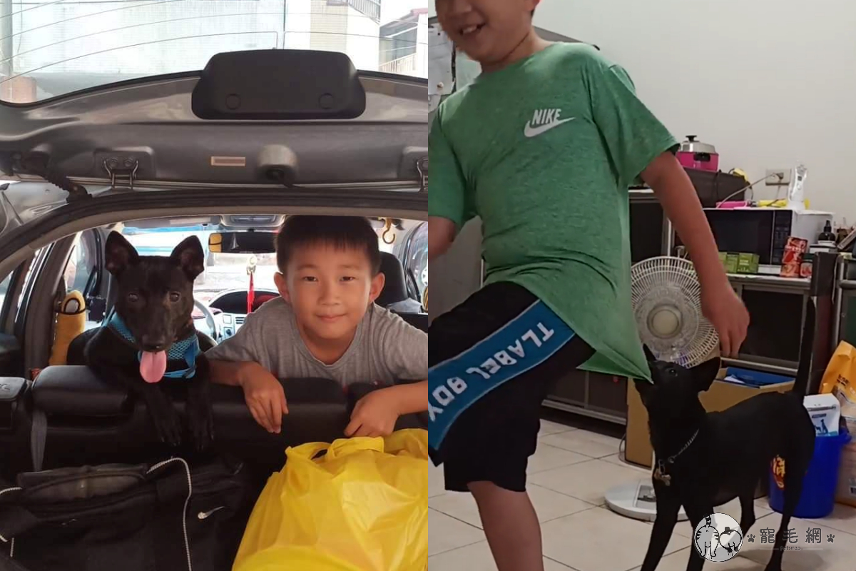 學校因應疫情在家上體育課，沒想到黑狗同學一直在旁邊搗亂！（圖／網友陳君君授權提供） 