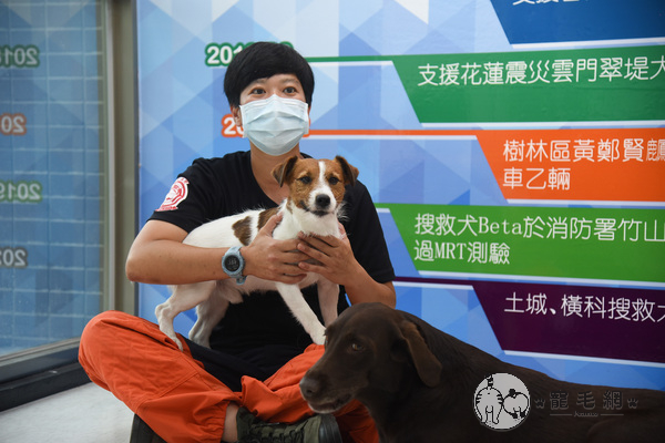 寵毛大使／搜救犬協助太魯閣號救援　隊員：牠們是無名小英雄