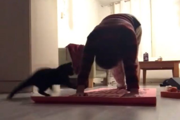 國外一名女子在家練習瑜珈時，竟遭到一團「黑影」不停騷擾！（圖／FB @Mina Yildizeli）