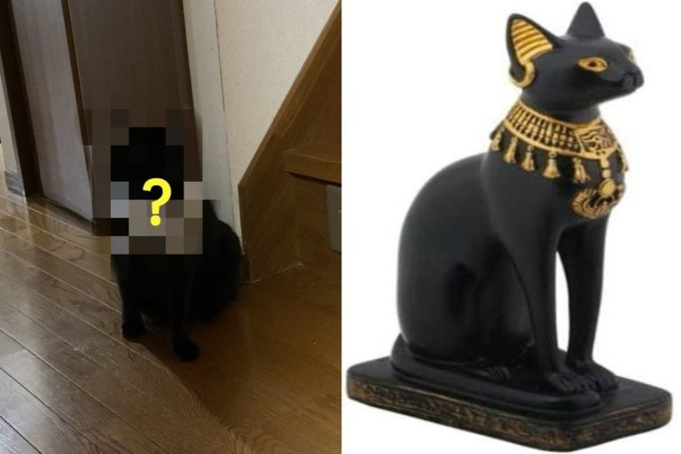 日本一名網友家出現埃及的「芭絲特貓神」！（圖／twitter @054758373、gekikorokunv）