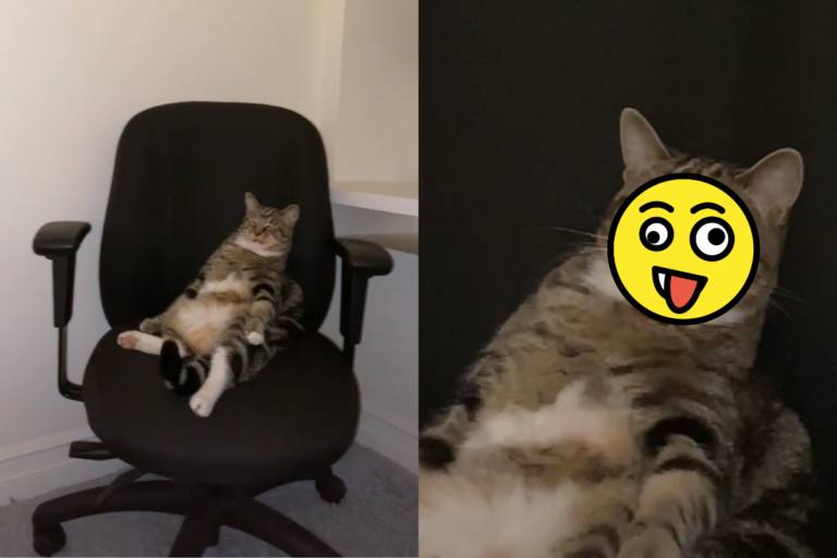 國外的一隻虎斑貓，坐在電腦椅上呼呼大睡、模樣像極了人類！（圖／TikTok帳號＠bigboy_tig）
