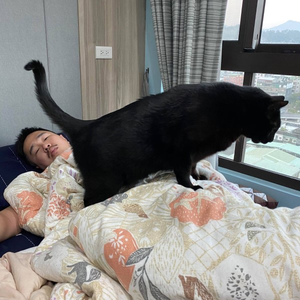 巨大黑貓趴爸背上幫「保溫」　網驚：下面的還有呼吸？