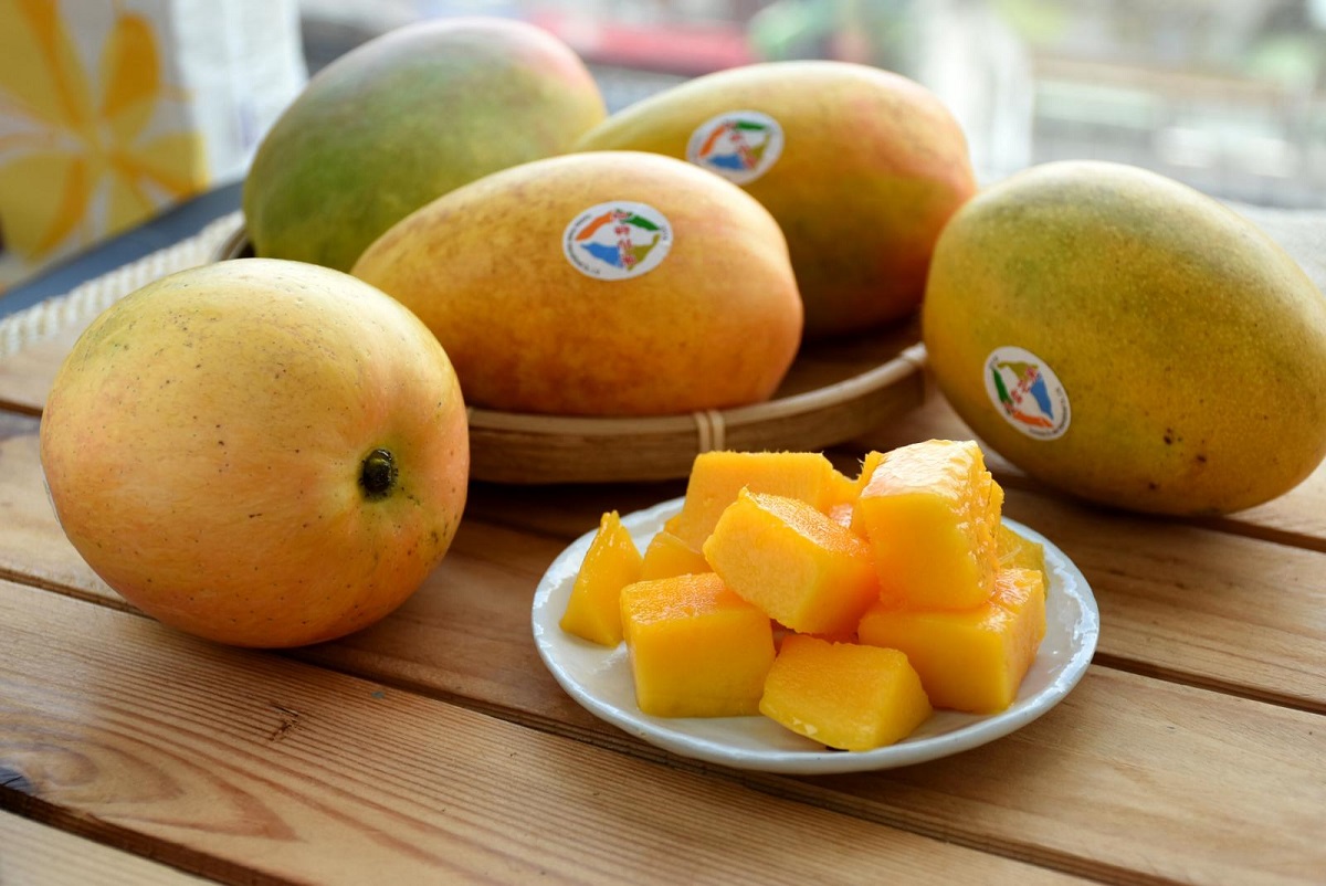 ▲近日有網友在PTT請益大家「哪種芒果好吃？」結果許多老饕一致秒推「芒果界LV」，大讚「口感細緻，香氣濃郁」。（圖／翻攝自農委會官網）