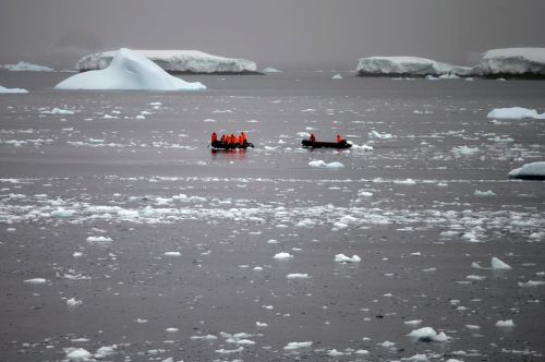 南極冬季海冰面積創新低！比1986年少100萬平方公里
