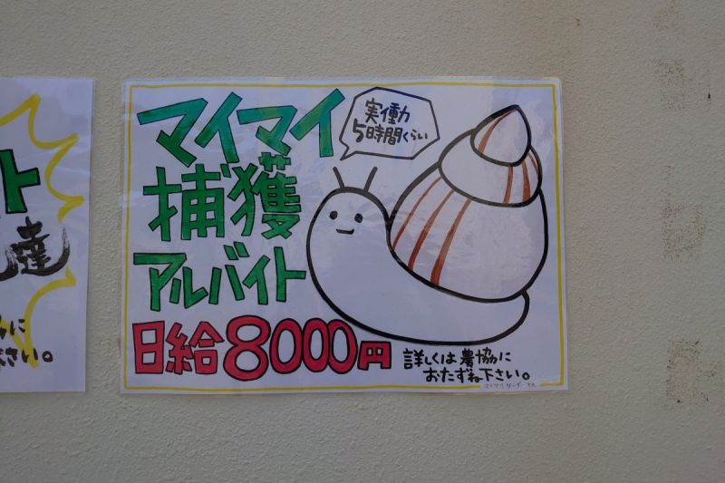 ▲日本有網友分享離島的特殊打工，工作內容只是抓蝸牛，許多網友看到時薪後，都相當興奮。（圖／翻攝自《@MaimainoTsuburi》Twitter ） 