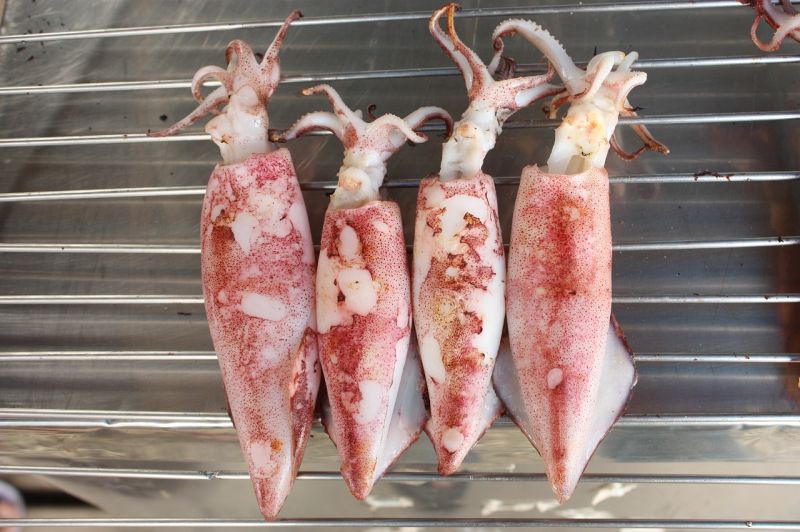 ▲「魷魚」在台灣時常拿來被做成許多料理，豐富多樣的口感也讓台灣人非常喜愛。（示意圖／翻攝自pixabay）