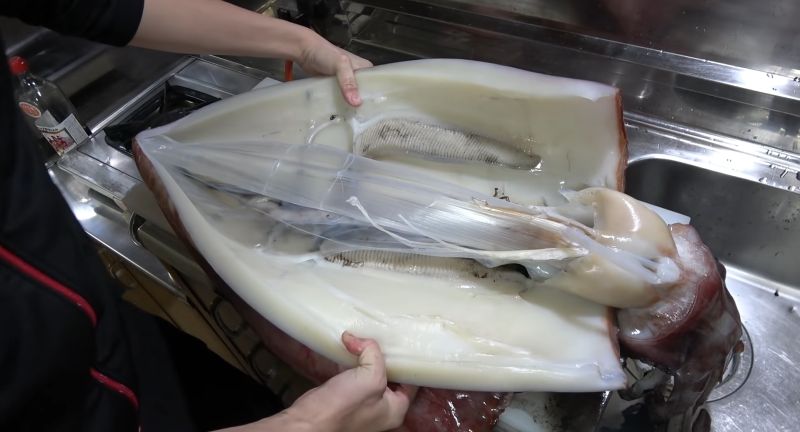 魷魚體內「透明片」可幹嘛？食客們超不解　驚人用途曝光