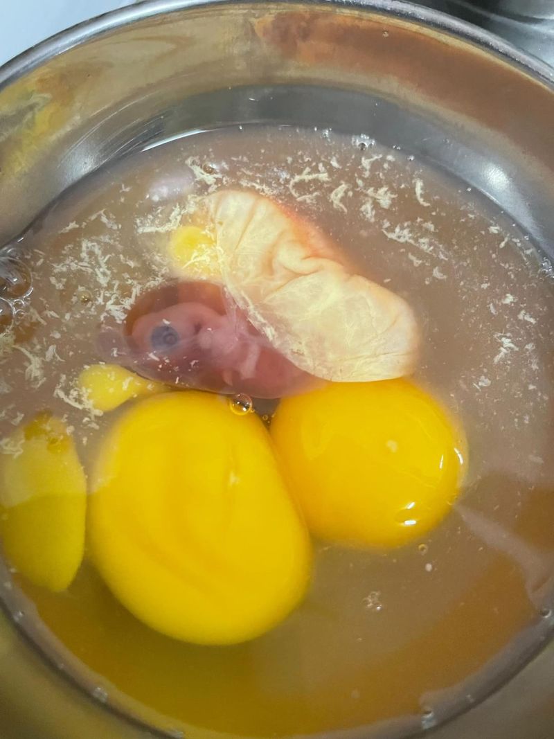 ▲原PO打蛋遇到未孵化的小雞。（圖／翻攝自《爆廢公社公開版》）