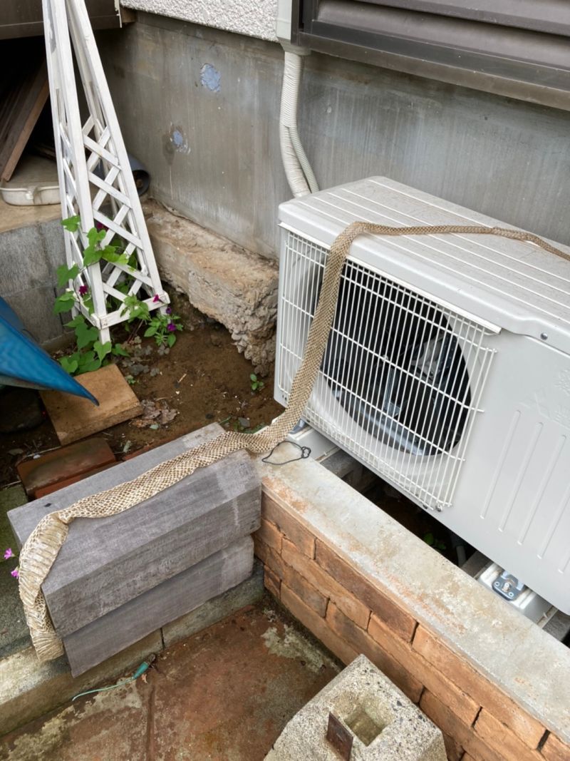 ▲日本網友在自家附近看到超長蛇皮。（圖／翻攝自＠k10_m的推特）