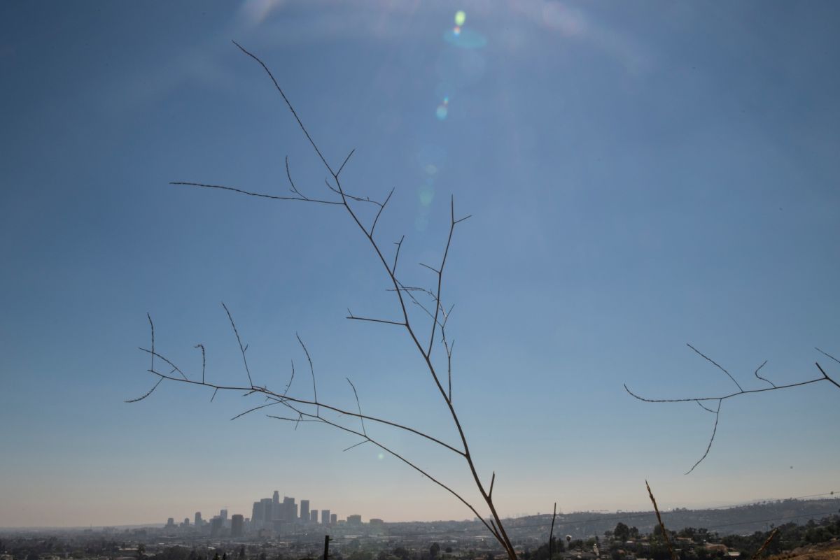 ▲加州州長紐松呼籲當地居民，減少15%的用水量，並宣布乾旱緊急狀態將擴大到50個郡，受影響的人數將近該州一半人口。（圖／美聯社／達志影像）