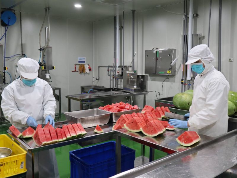 ▲東勢區農會經營的蔬果冷鏈截切場,一切作業均在攝氏15度低溫中進行,確保產品品質。(圖/農會提供)