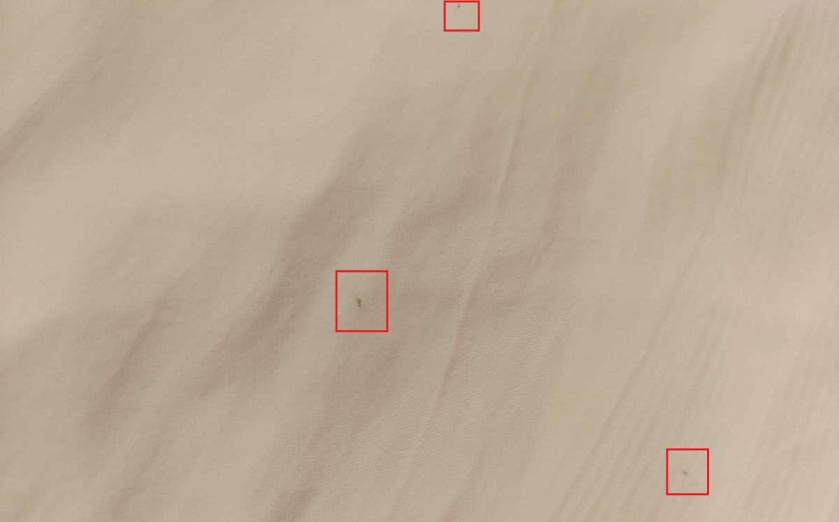 ▲有剛搬家的網友發現，新住處的各個角落都出現一種「謎樣小蟲」，忍不住上網求助。（圖／翻攝《買房知識家》）