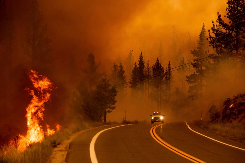 ▲美國西部與加拿大多數地區今天的天氣持續燠熱乾燥，多地好發森林野火。（圖／美聯社／達志影像）