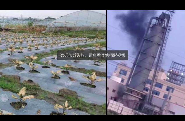 中國江西傳化工廠氣體外洩　逾50居民送醫
