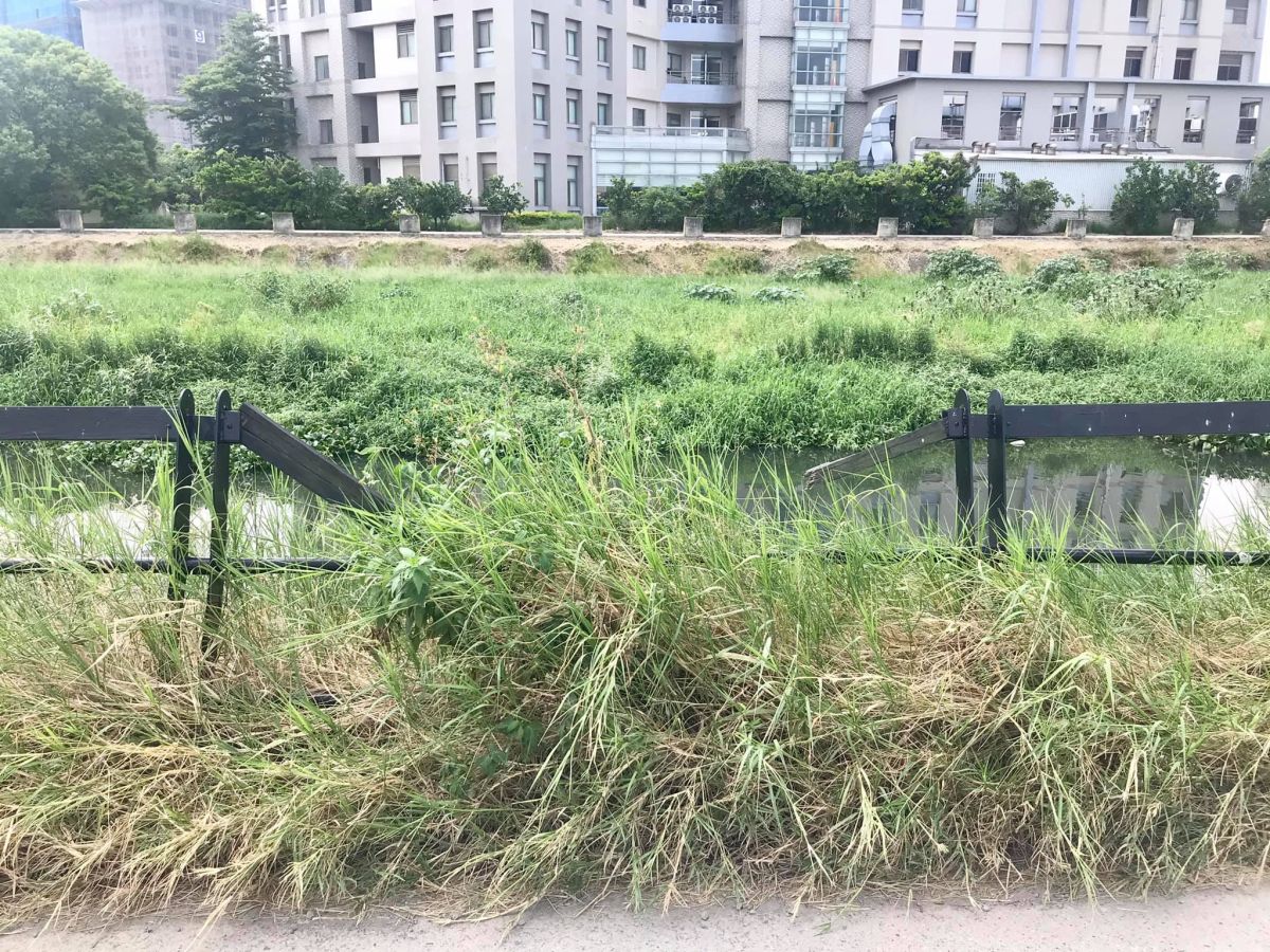 ▲新竹縣竹北市環北路五段豆子埔溪旁的自行車道，護欄破損且雜草叢生，縣議員陳凱榮接獲新國里里里長吳勝隆反映後，要求縣府工務處和有關單位儘速改善。（圖／陳凱榮提供）