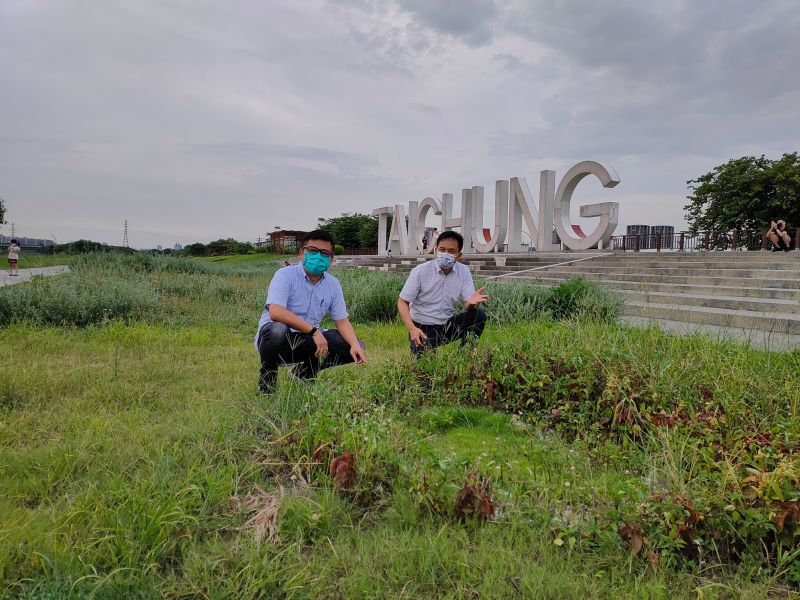 ▲台中市門戶迎賓河筏子溪景觀廊道，其中醒目立體文字「TAICHUNG」地標，議員張耀中說，綠美化的情況失控，讓雜草及小花蔓藤叢生(圖／張耀中服務處提供2021.7.20)