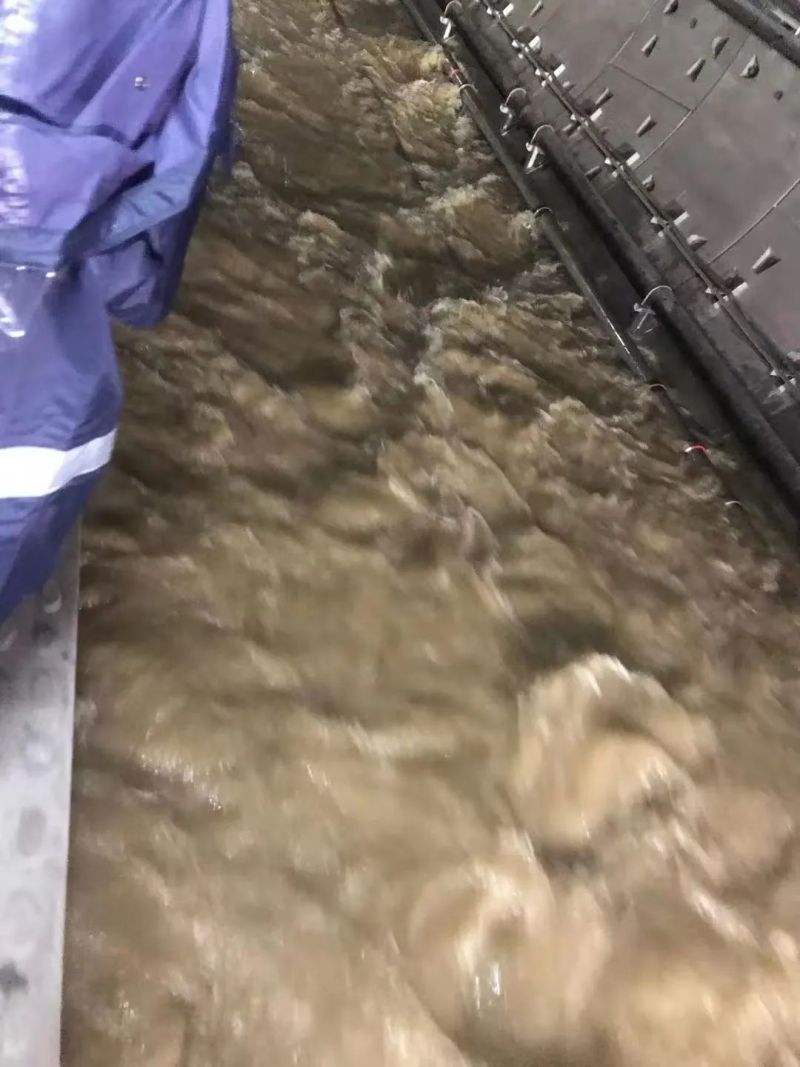 ▲(圖/翻攝自網路)