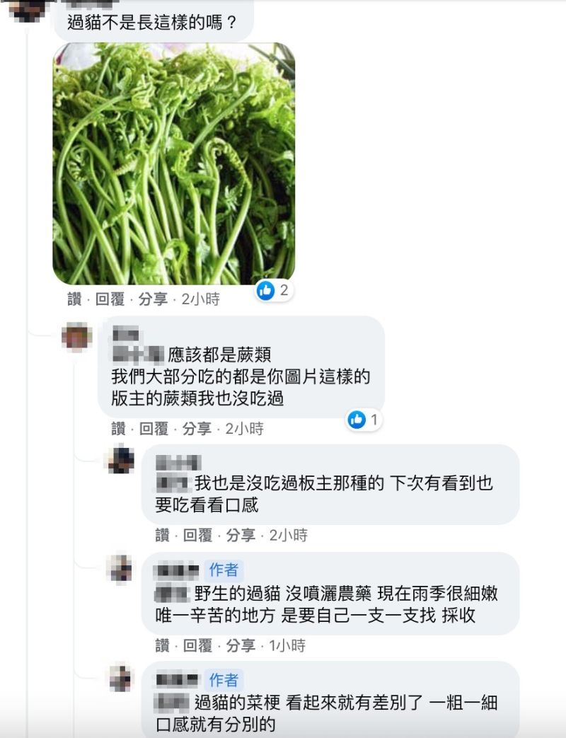 ▲有網友提出疑問,對此,原PO也回應了。(圖/翻攝自《廚藝公社》)