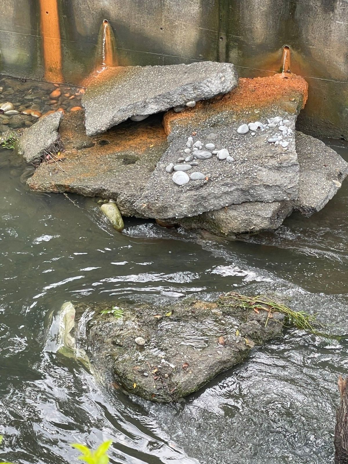 ▲議員何文海到南屯溪周邊巡視，發現南屯溪河床嚴重破洞，溪中還有許多水泥塊和樹幹阻礙流水(圖／何文海提供2021.7.23)