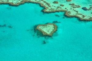 ▲世界遺產委員會23日開會決定，暫時不將大堡礁列為「瀕危世界遺產」。（圖／取自Pixabay）