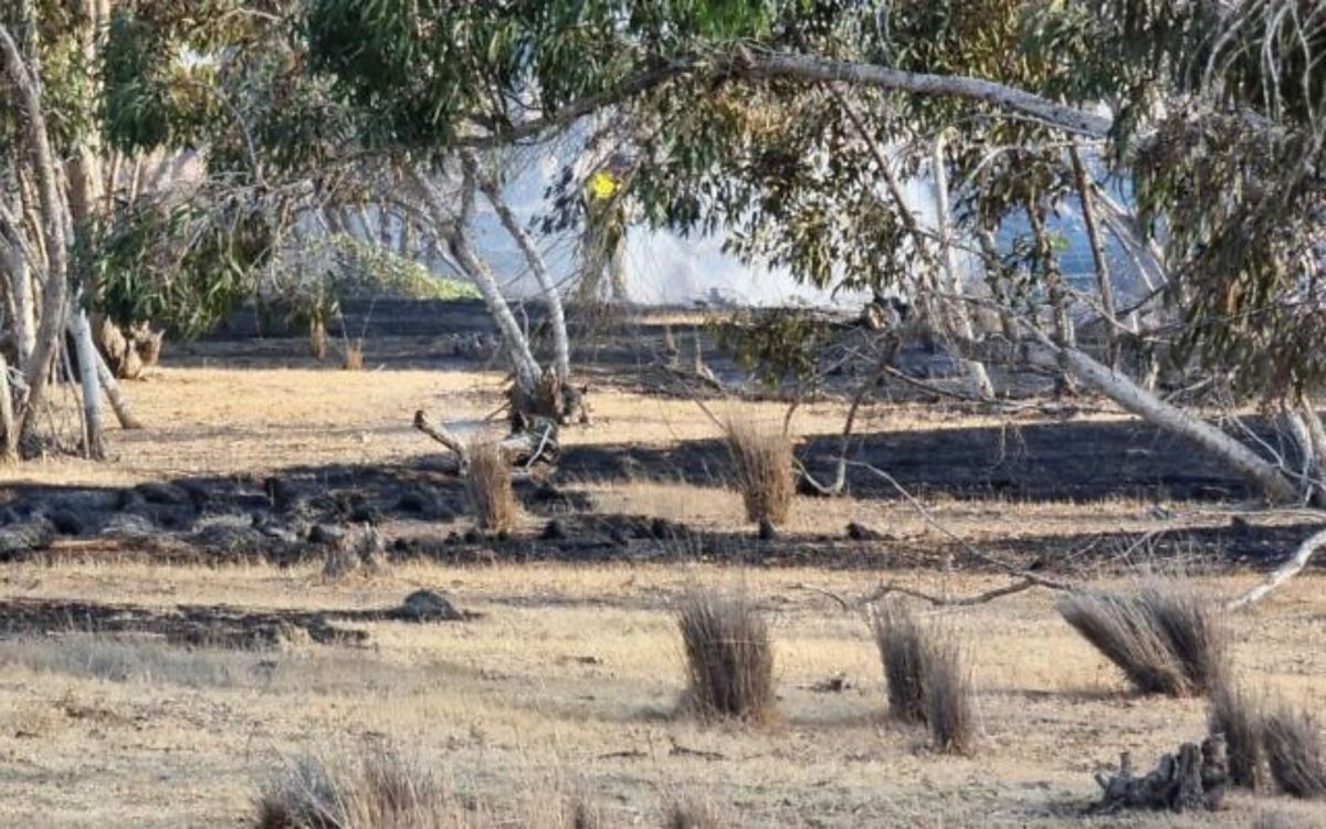 ▲以色列消防隊員表示，來自加薩走廊（Gaza Strip）的燃燒彈氣球火攻以色列，以致西南部叢林發生大火。（圖／翻攝自以色列時報）