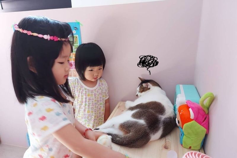 ▲網友鄧小姐的兩個小女兒停課在家，貓保母貼心「一打二」顧小孩。（圖／IG帳號@eileen2328授權）