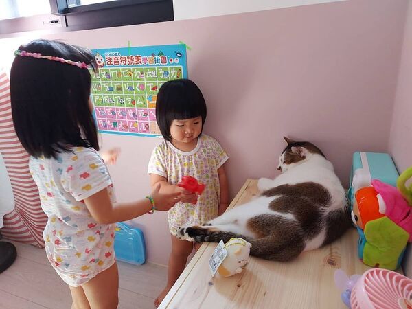 ▲網友鄧小姐的兩個小女兒停課在家,貓保母貼心「一打二」顧小孩。(圖/IG帳號@eileen2328授權)
