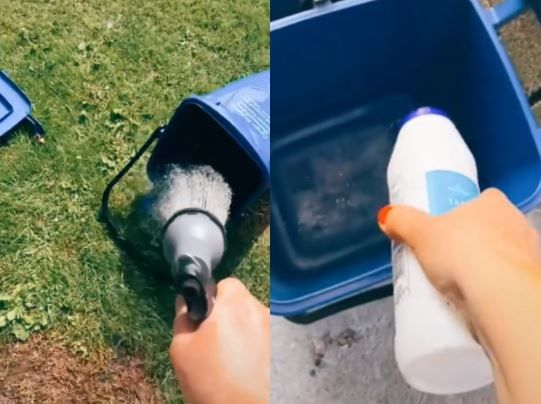 ▲抖音用戶「sisterpledgecleans」分享遏止垃圾桶蚊蟲、蛆孳生的妙方。(圖/翻攝抖音《sisterpledgecleans》)