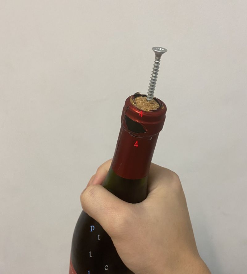 ▲原PO嘗試這個方法後,螺絲釘竟直接卡死,讓她當場崩潰。(圖/翻攝自《PTT》)