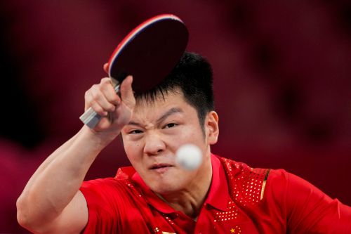 樊振東爆冷出局!才剛丟球王寶座 WTT仁川冠軍賽又輸給巴西一哥
