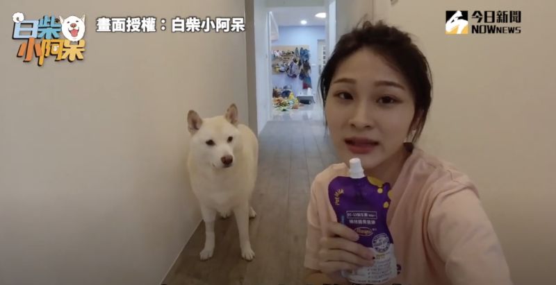 ▲最後一次,主人拿出殺手鐧,用牛奶吸引了白柴注意。(圖/白柴小阿呆