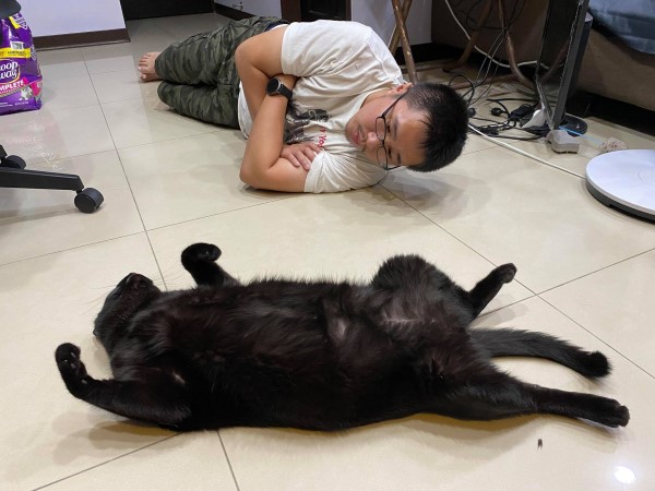 巨大黑貓趴爸背上幫「保溫」　網驚：下面的還有呼吸？
