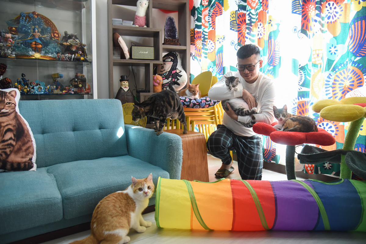 人氣插畫家辛卡米克，因為畫貓引起飼主共鳴而聲名大噪，其實當初會養貓、全因鄰居一句話激到當天成為貓奴。（圖／寵毛網，記者陳明安攝）