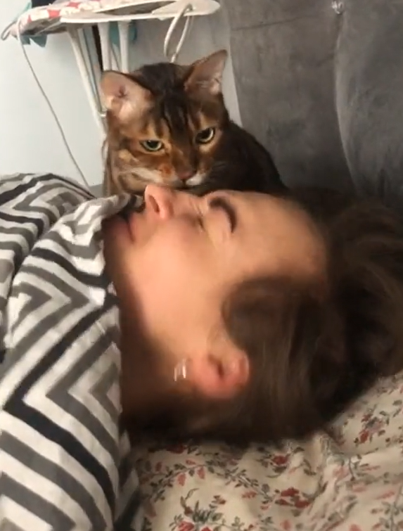 貓：不要再賴了！起來！放飯！（圖／TiKTok＠ elenamatiash1）
