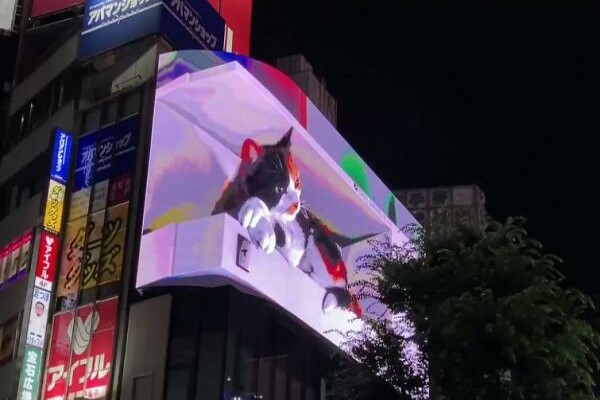東京出現「巨大三花貓」與路人互動讓人想大喊卡哇伊！
