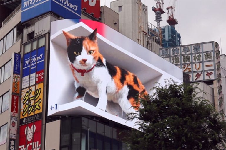 東京新宿車站附近竟然出現一隻巨大三花貓！（圖／twitter @cross_s_vision）