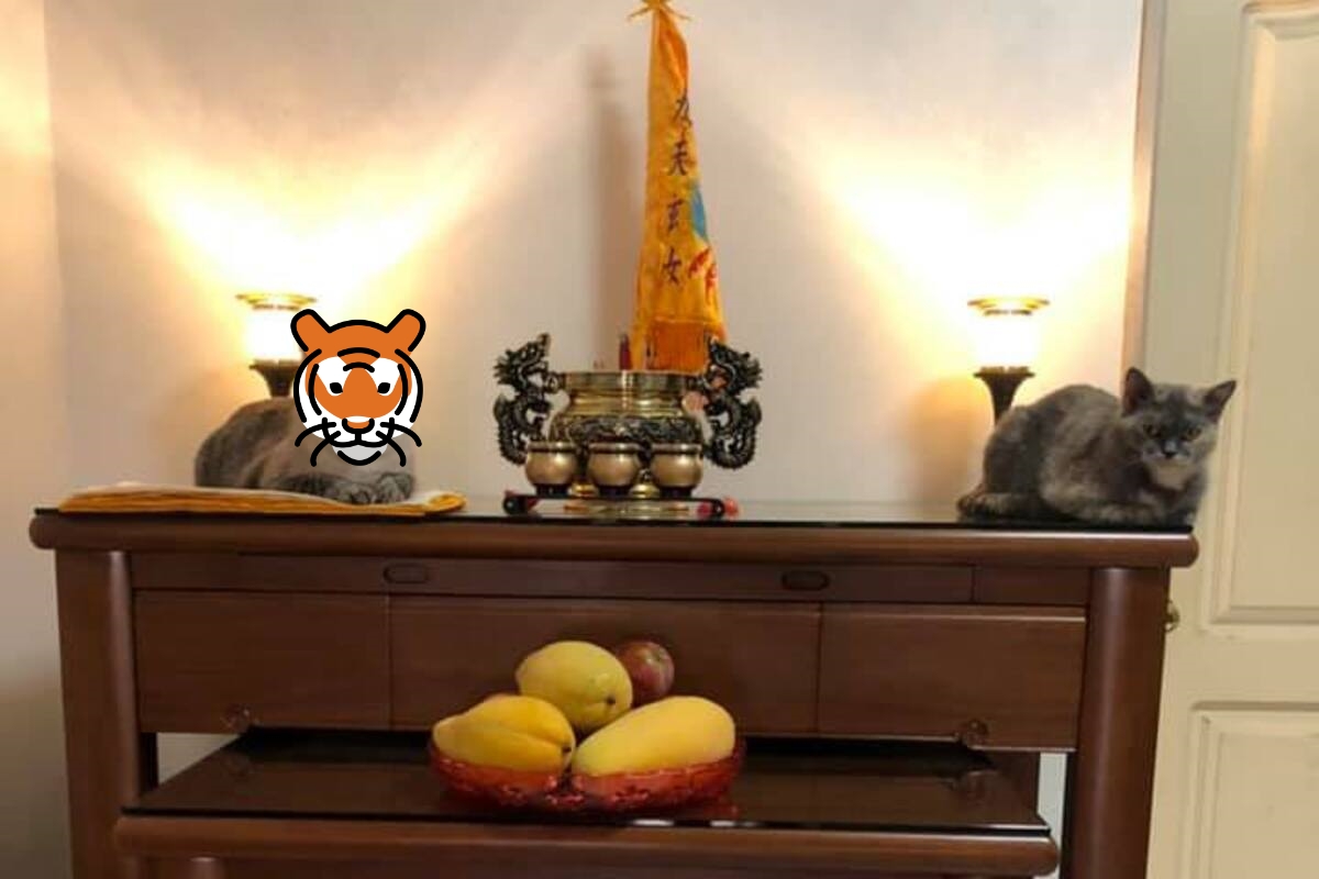 兩貓突然跳上神桌，一臉嚴肅地當起左右護法。（圖／網友李沂霈授權提供）  