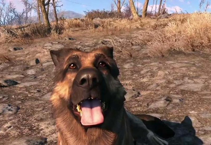 紀念《異塵餘生 4》「狗肉」原型犬 ‎Xbox與Bethesda捐款1萬美元
