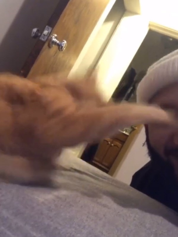 男子自拍親橘貓畫面下一秒主子的反應讓網友都笑翻了！