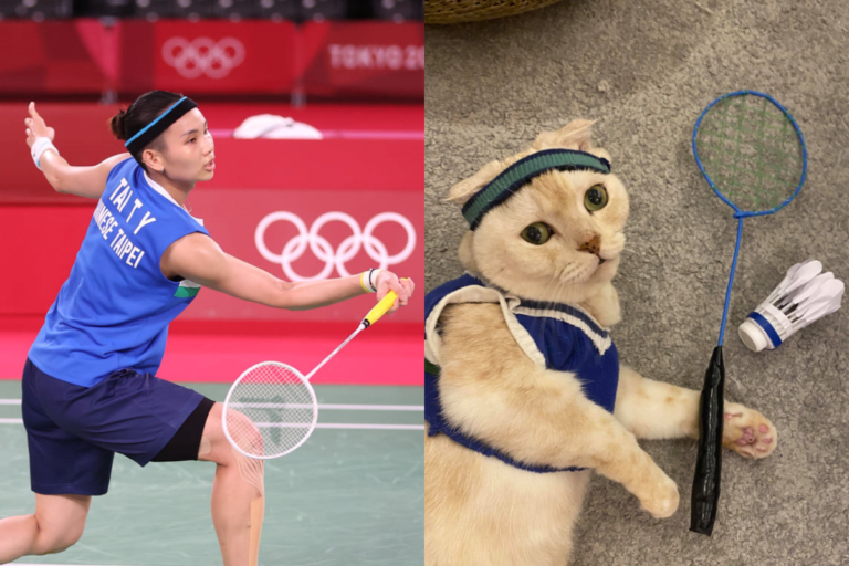 奧運集氣！巧手將貓皇扮成「神勇小戴」　網：相似度99%
