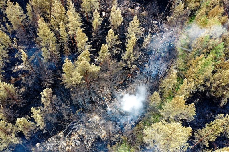 ▲芬蘭正在對抗50年來最嚴重的森林大火，面對異常炎熱的夏季，西北部山谷300公頃森林在5天內被大火吞噬。（圖／美聯社／達志影像）