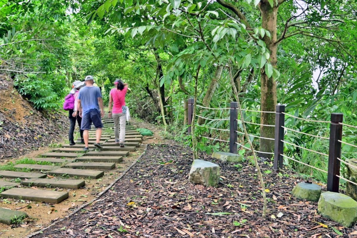 ▲太平區咬人狗坑登山步道(圖／觀旅局提供2021.8.2)