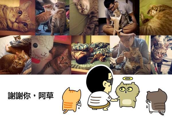 ▲阿草跟阿馬因為腎病相繼成為小天使,草尼馬現在只剩下阿馬陪在辛卡米克身邊。(圖/辛卡米克授權)