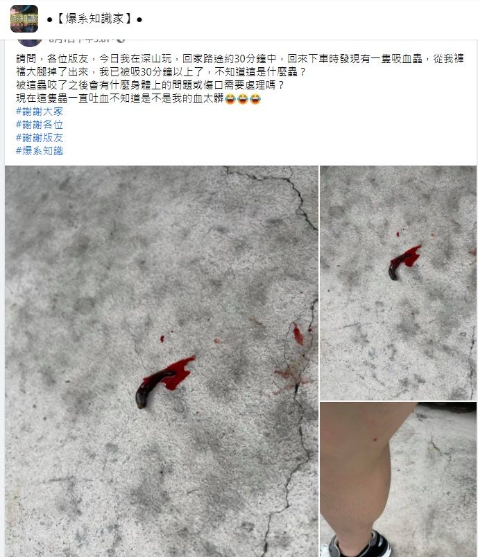 ▲一名女網友表示,自己1日到深山遊玩,結果回家後竟發現一隻「吸血蟲」從褲裡掉出來,且這隻蟲落地後就開始吐血,讓她看後既驚嚇又困惑。(圖/翻攝自臉書社團「爆系知識家」)