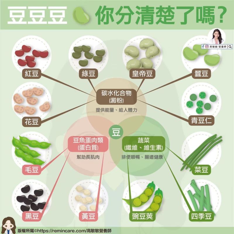 ▲營養師高敏敏分享「12種豆」的營養組成。（圖／高敏敏營養師