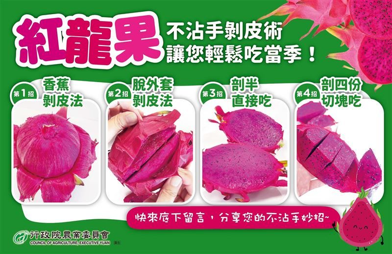 ▲許多人每次食用後,雙手總會「紅通通」的,對此農委會分享處理火龍果4個「不沾手的技巧」。(圖/翻攝農委會臉書)